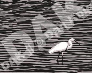 The Great Egret